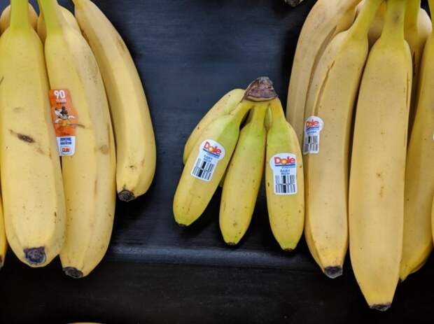 Маленькие бананы дети Бананов или Большие бананы это мутанты