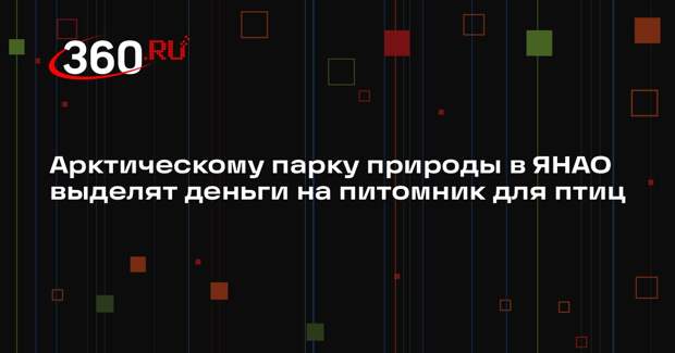 ​​Арктическому парку природы в ЯНАО выделят деньги на питомник для птиц