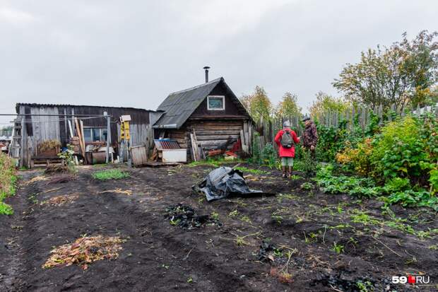 На огороде всего пять грядок На огороде всего пять грядок