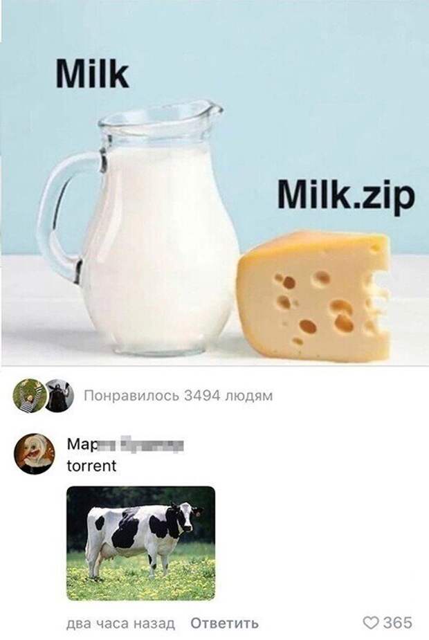 Скрины из социальных сетей