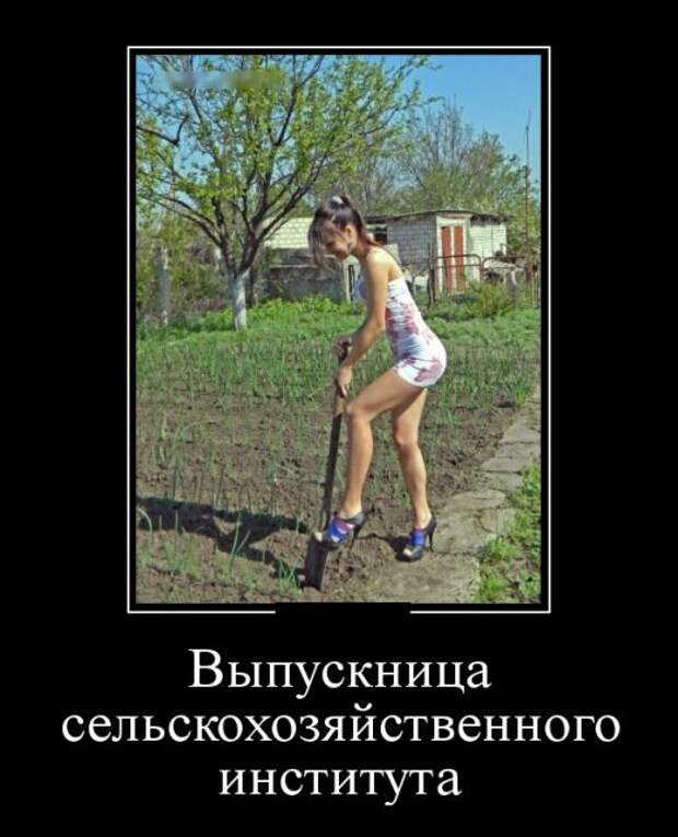 Демотиваторы (30 фото)