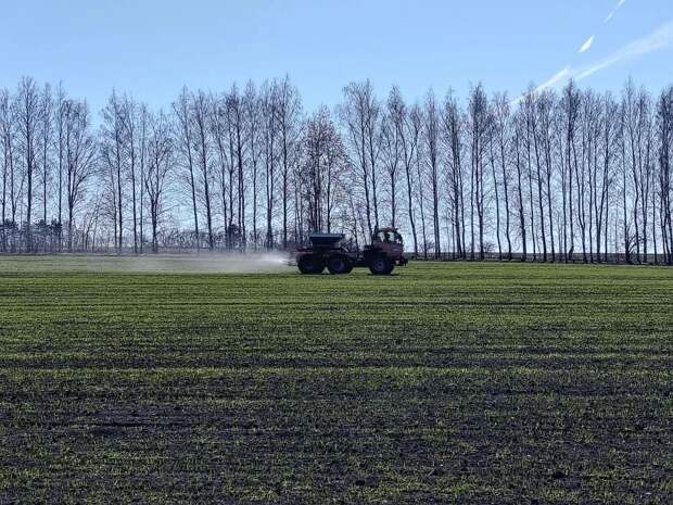 В Нижегородской области начались весенне-полевые работы