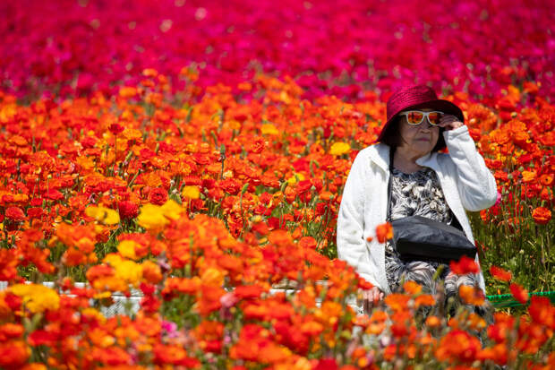 50 фотографий года от агентства Reuters, на которые стоит взглянуть дважды или трижды 6