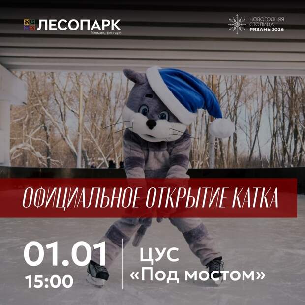 В рязанском Лесопарке 1 января откроется каток