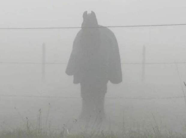 Они просто нажали на кнопку фотоаппарата и получили эпичные кадры