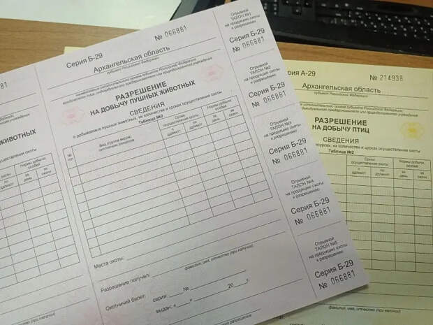 Сезон весенней охоты в Поморье: названы сроки, нормы и правила