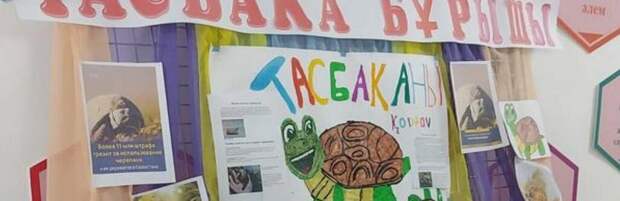 Школьницы из Балхаша стали призёрами экологического конкурса