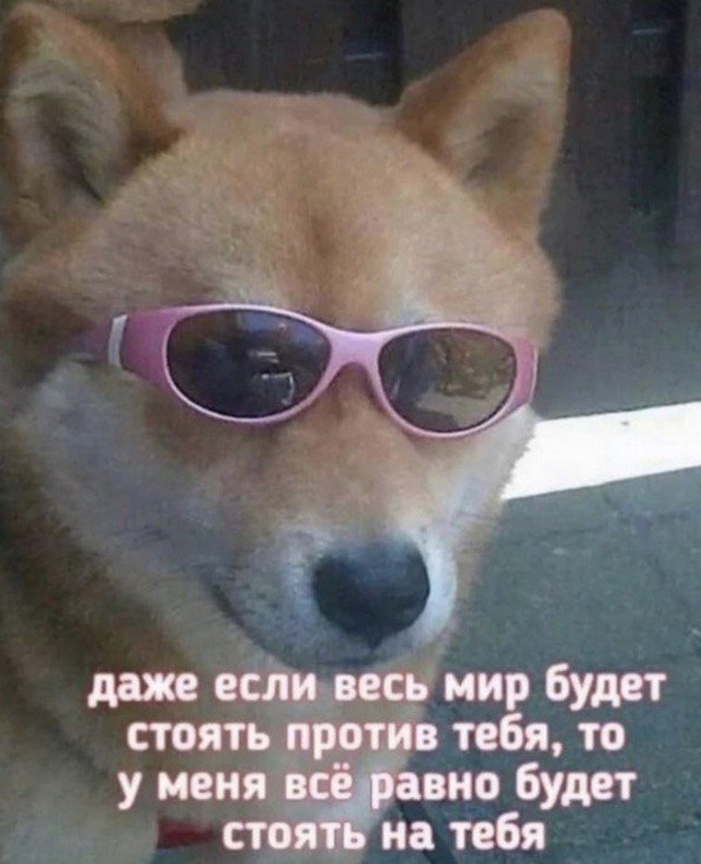 Лучшие шутки и мемы из Сети