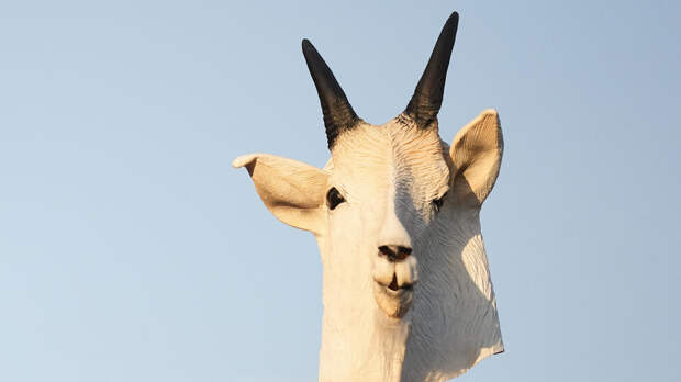 Язычники в масках козлов на Рождество на Украине возмутили Захарову