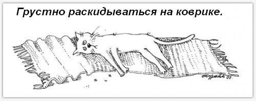 дому-кота-Обязанности-картинки-смешные картинки-фотоприколы