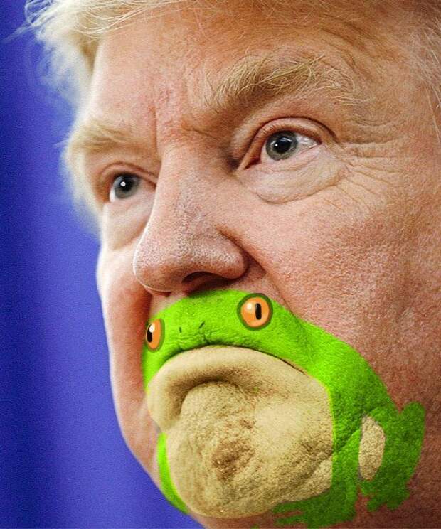 Трамп с жабой на подбородке - Мега Прикол