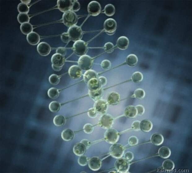 Днк 8. 8 ДНК. Деревья с человеческой ДНК. DNA 8.21.