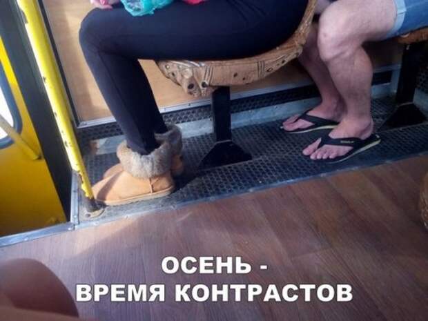 Свежая порция фотомемов (27 шт)