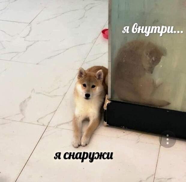 www.vsyako.net