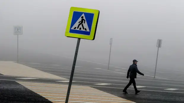 Автоэксперт Хайцеэр прокомментировал разработку нового ГОСТа для пешеходов