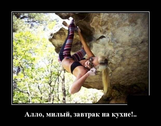 Демотиваторы (30 фото)