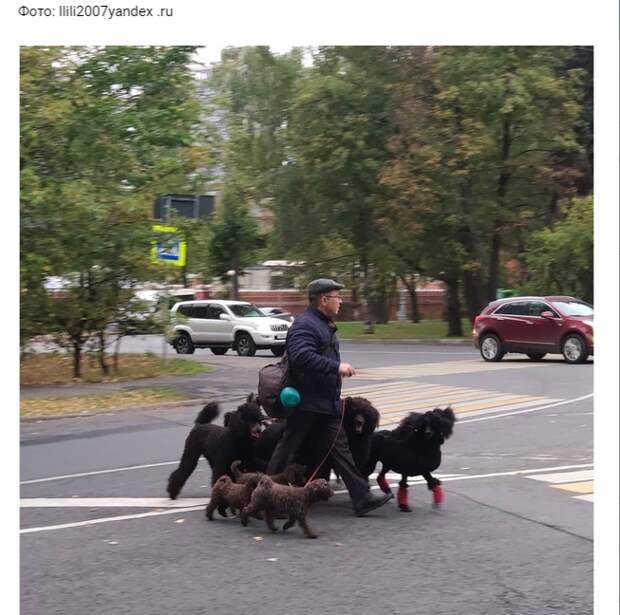 Паблик