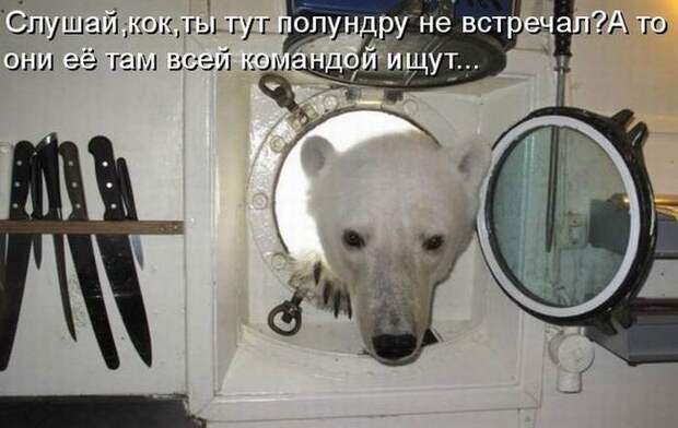 Мысли вслух :)