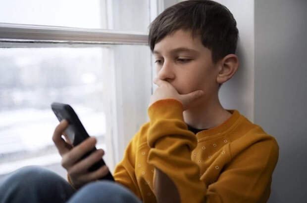 Франция планирует запретить соцсети для детей с 2026 года