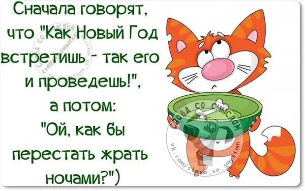 Сначала говорите. Как новый год встретишь так его. Как год встретишь так его и проведешь. Говорят как ВСТРЕТИШЬНОВЫЙ НОД так его и проведешь. Как новый год встретишь так его и проведешь картинки.