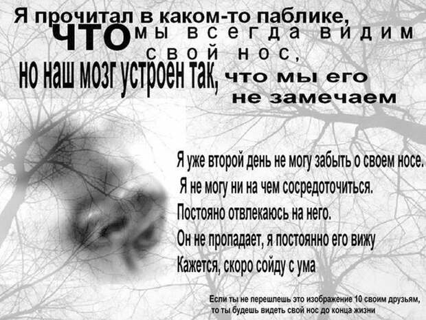 Прикольные картинки Прикольные картинки