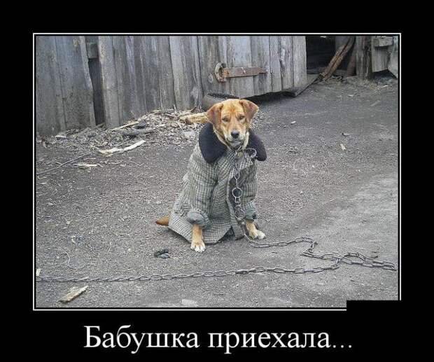 Демотиваторы. Классная подборка!