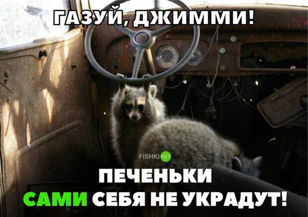 Подборка автомобильных приколов авто, автомобильный, автоприкол, автоприколы, одборка, прикол, приколы, юмор