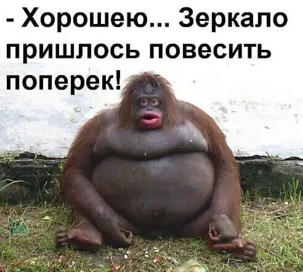 Задыхаясь, вбегает мужик на набережную, забрасывает свой чемодан...
