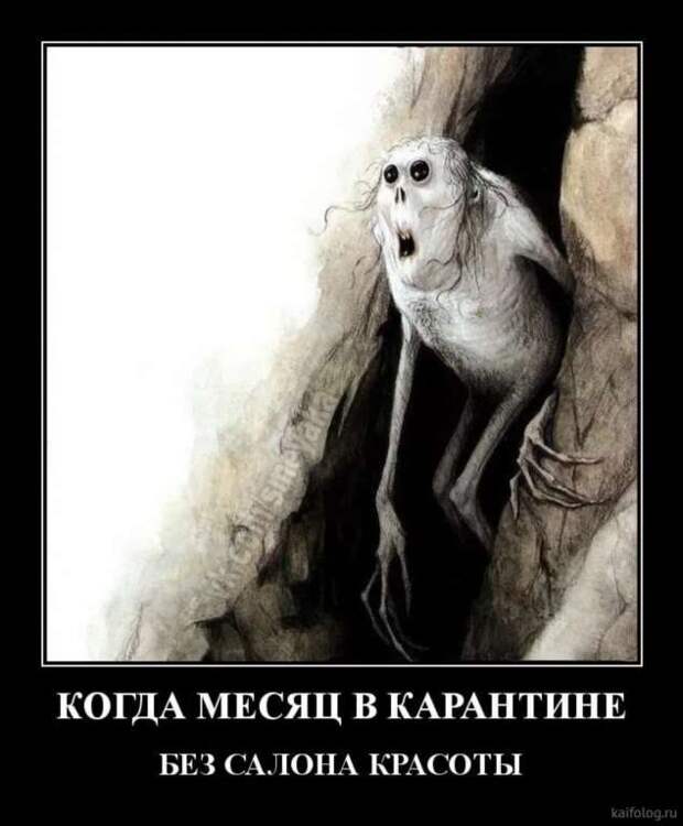 Демотиваторы про коронавирус с надписями. Подборка chert-poberi-dem-koronavirus-chert-poberi-dem-koronavirus-51530230052020-1 картинка chert-poberi-dem-koronavirus-51530230052020-1