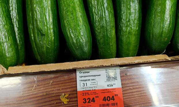 Средняя цена на огурцы в Архангельской области достигла 377 рублей за килограмм