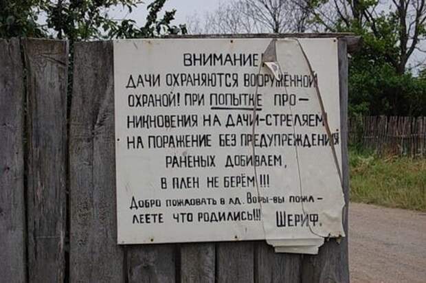 Подборка картинок (20 фото)