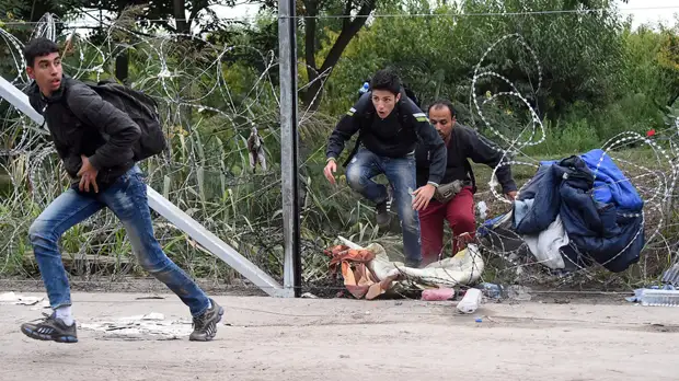 «Столкновение двух парадигм»: почему страны Центральной Европы выходят из глобального пакта ООН по миграции