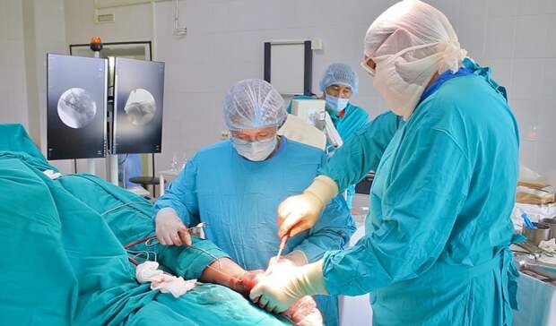 Тобольские медики спасли тюменца, упавшего с 10-метрового кедра