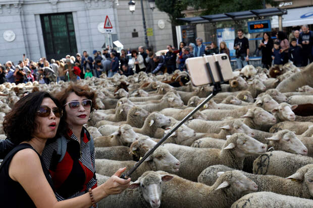 50 фотографий года от агентства Reuters, на которые стоит взглянуть дважды или трижды 24