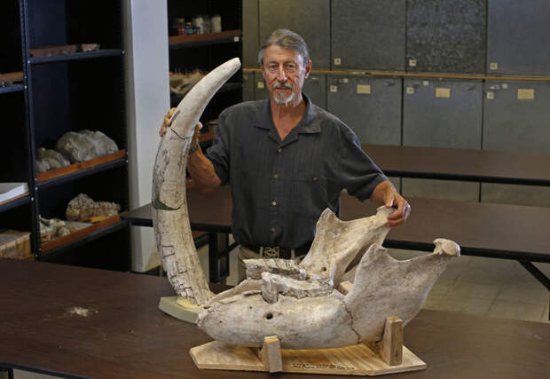 Профессор Питер Хоуд с останками древнего стегомастодона археология, животные, находка, повезло, предок, слон, сша, череп