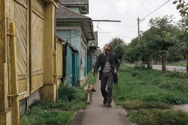 Картинки, юмор, приколы