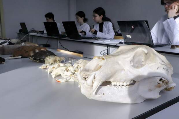 Состоялся зимний интенсив РЕМШ по биологии