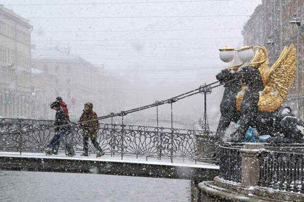 В Петербурге начался снегопад