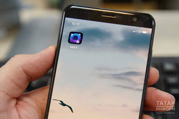 Татарстанда яшәүчеләр быел машина йөртү таныклыгын MAX мессенджеры аша күрсәтә алачак