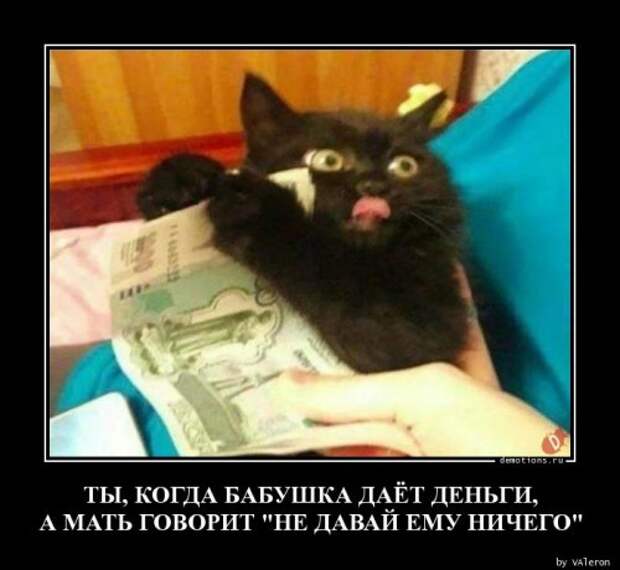 Свежая порция демотиваторов для отличного настроения