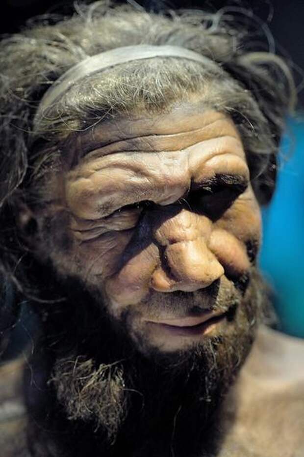 Древнейшие вирусы обнаружены в останках неандертальцев возрастом 50 000 лет