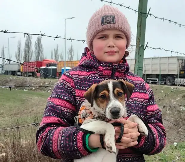 Как корреспондент "РГ" встречал беженцев из Мариуполя волонтером на приграничном КПП