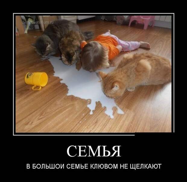 Сборник демотивационных приколов Сборник демотивационных приколов