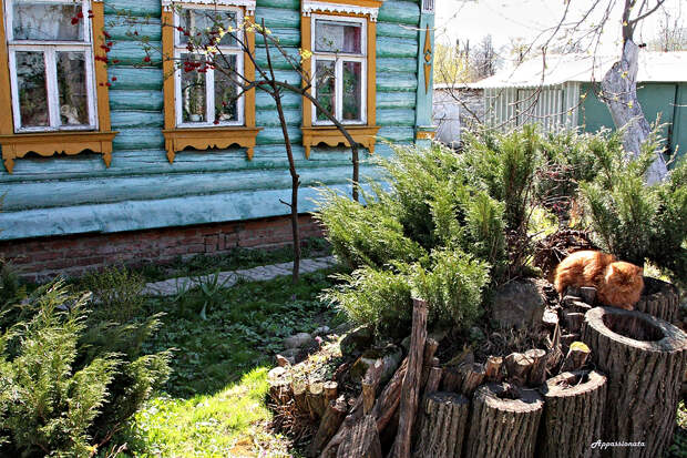 Остров в Подмосковье Остров в Подмосковье