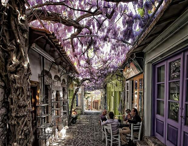Мolyvos, Greece.