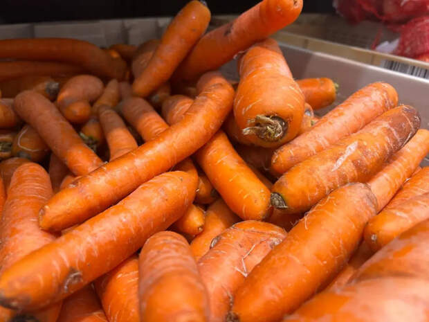 Посев моркови в 2026 году: лунные дни, народные подсказки и правила хорошей грядки