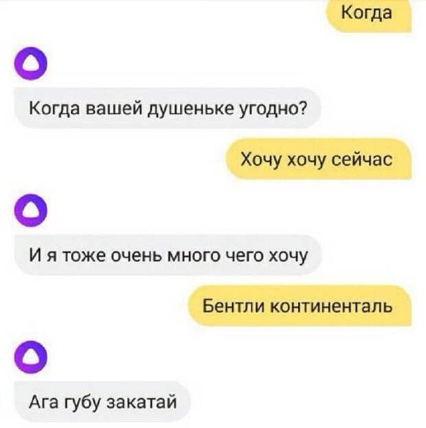 Приколы с алисой колонка