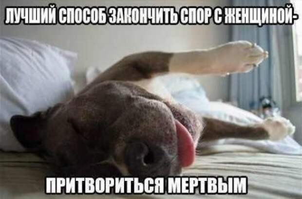 Не толькол прикольные фото но и фразы.
