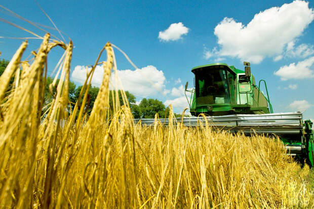 США и Европа прорабатывают маршруты вывоза украинской пшеницы, — CNN
