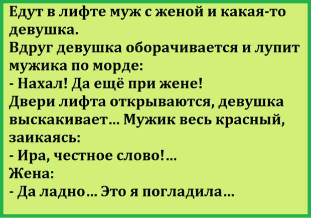 Двадцать лучших шуток недели в картинках
